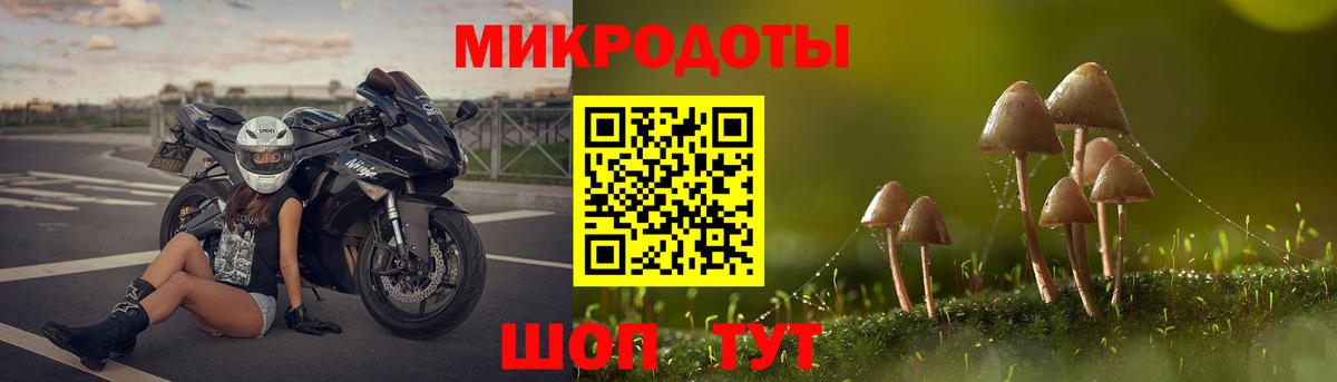 Ярославль  Псилоцибиновые грибы прущие грибы  Вход с VPN 